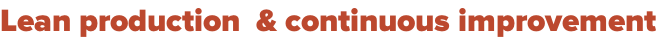 Lean production  & continuous improvement